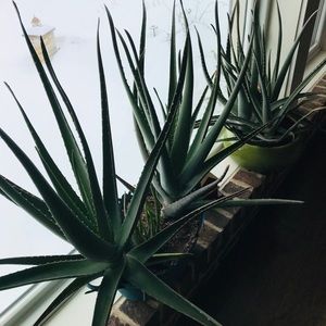 Meet your Posher, Surya